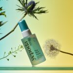 The Mist Have (Copy)